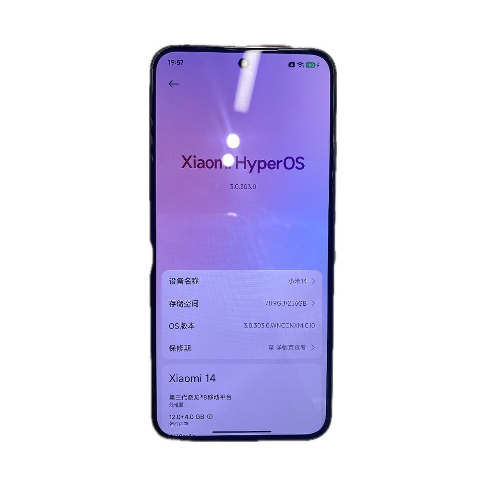 Xiaomi 14 (12/256GB)